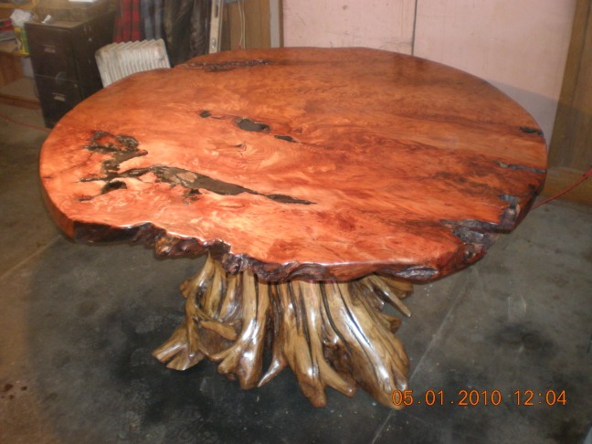 1,000 year old burl root slab atop a 250 year old root base.